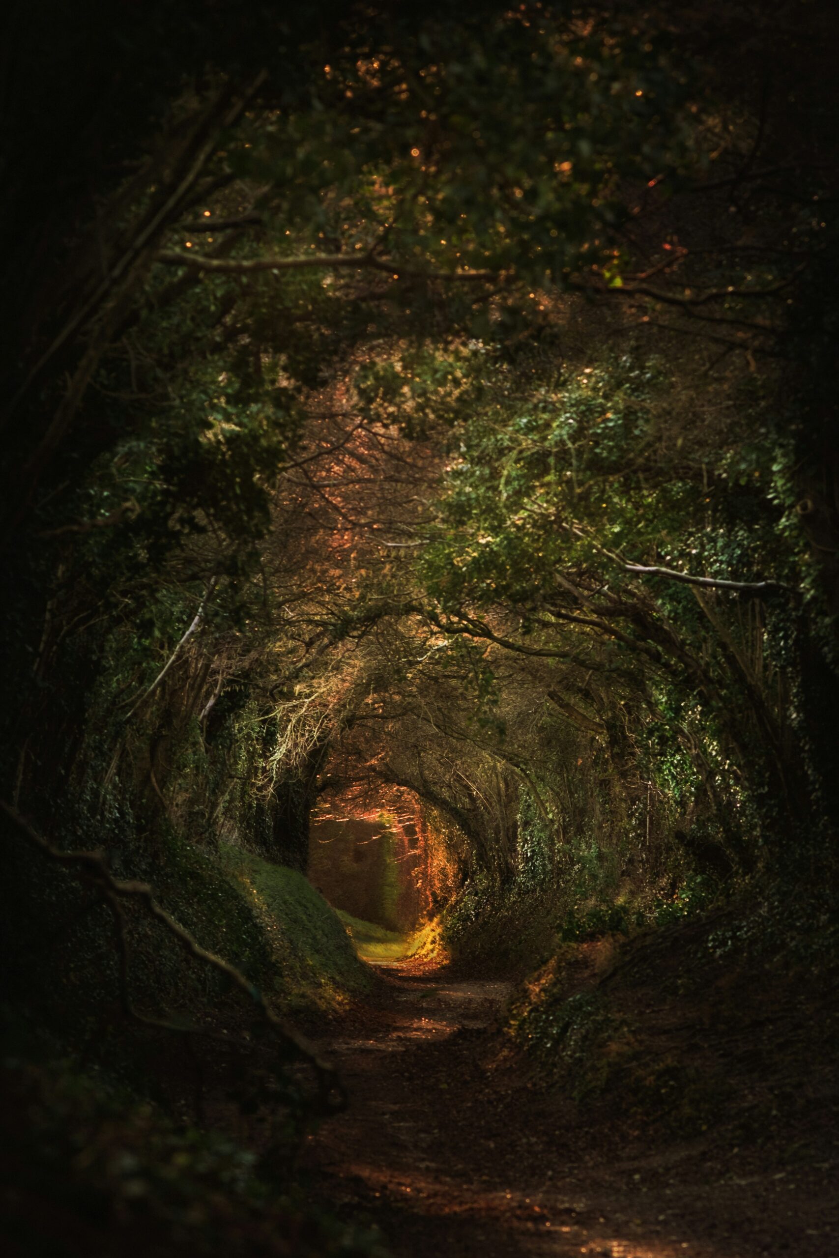 Hello World Featured Image